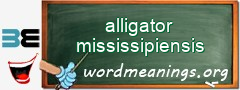 WordMeaning blackboard for alligator mississipiensis